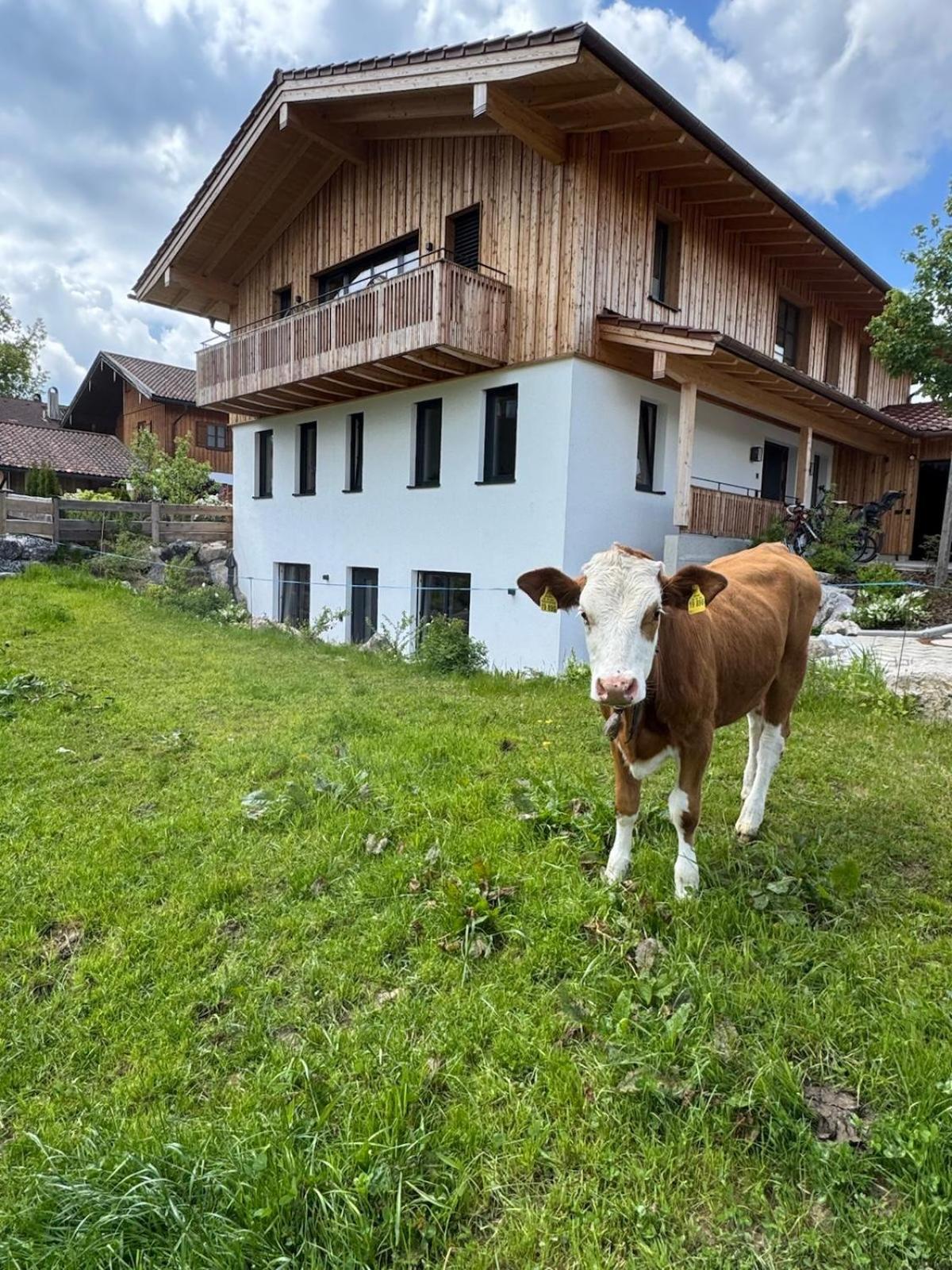 Ferienwohnung Gschwendt Miesbach Extérieur photo